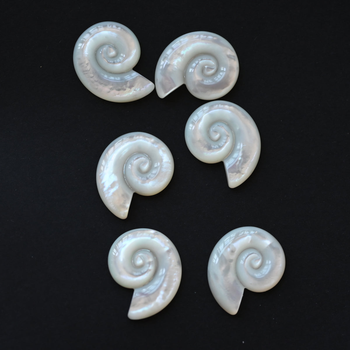 Nature white shell conch shape cab ,MOP shell charms