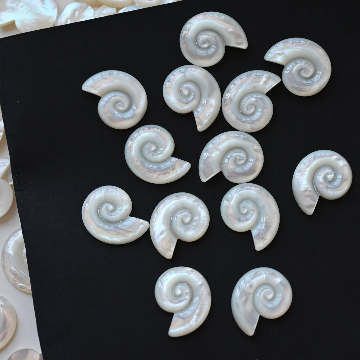 Nature white shell conch shape cab ,MOP shell charms