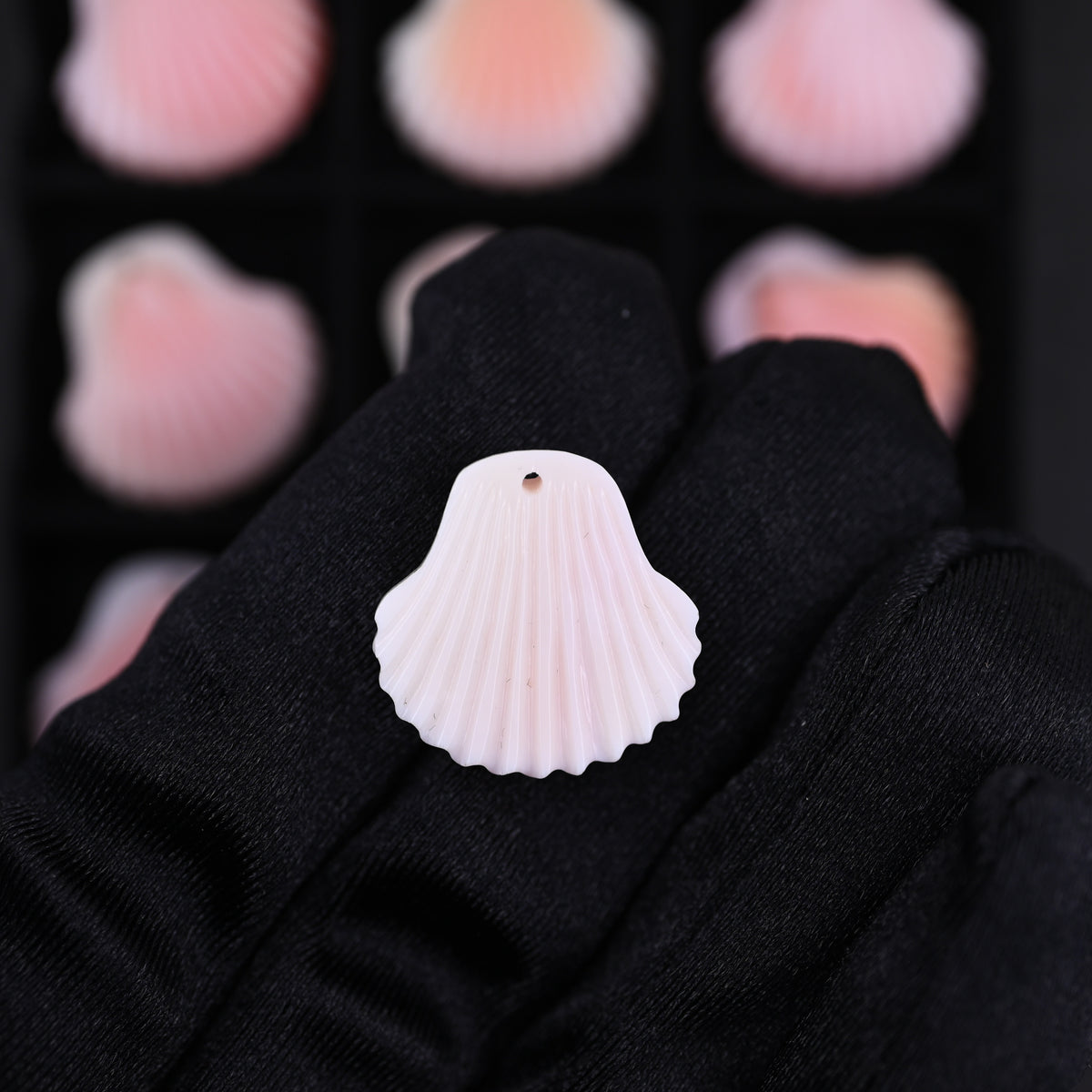 Pink queen conch shell pendant ,20 mm conch queen pendant